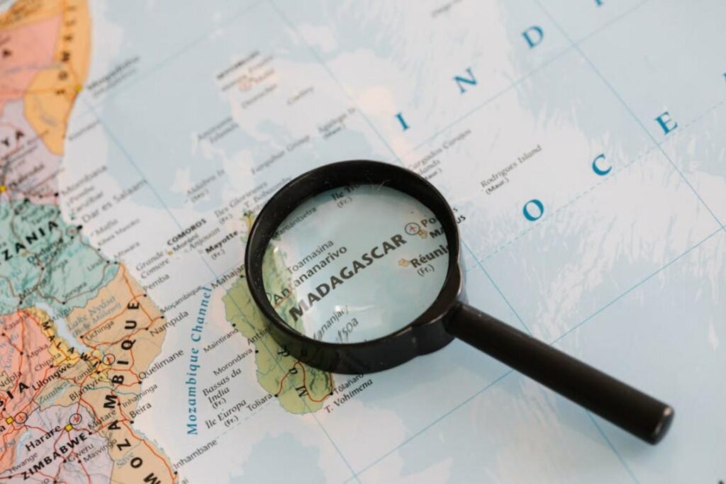 Afromontane Madagascar