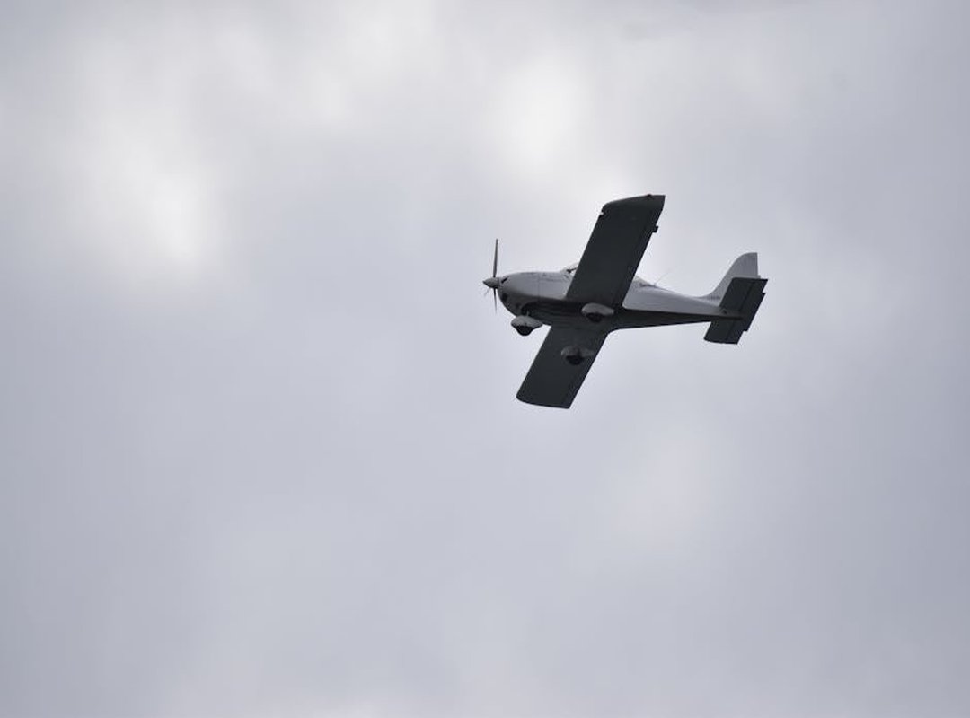 Flight Path earthleafgarden.com Zopalno